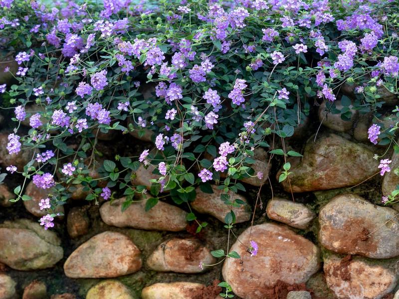Retaining walls in Dubuque area, IA